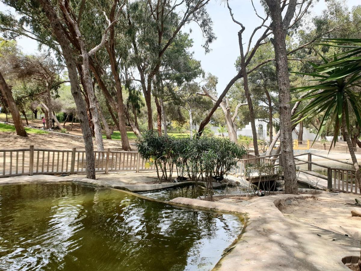 Apartamento Parque Sur كوارذامار ذيل سيغورا المظهر الخارجي الصورة